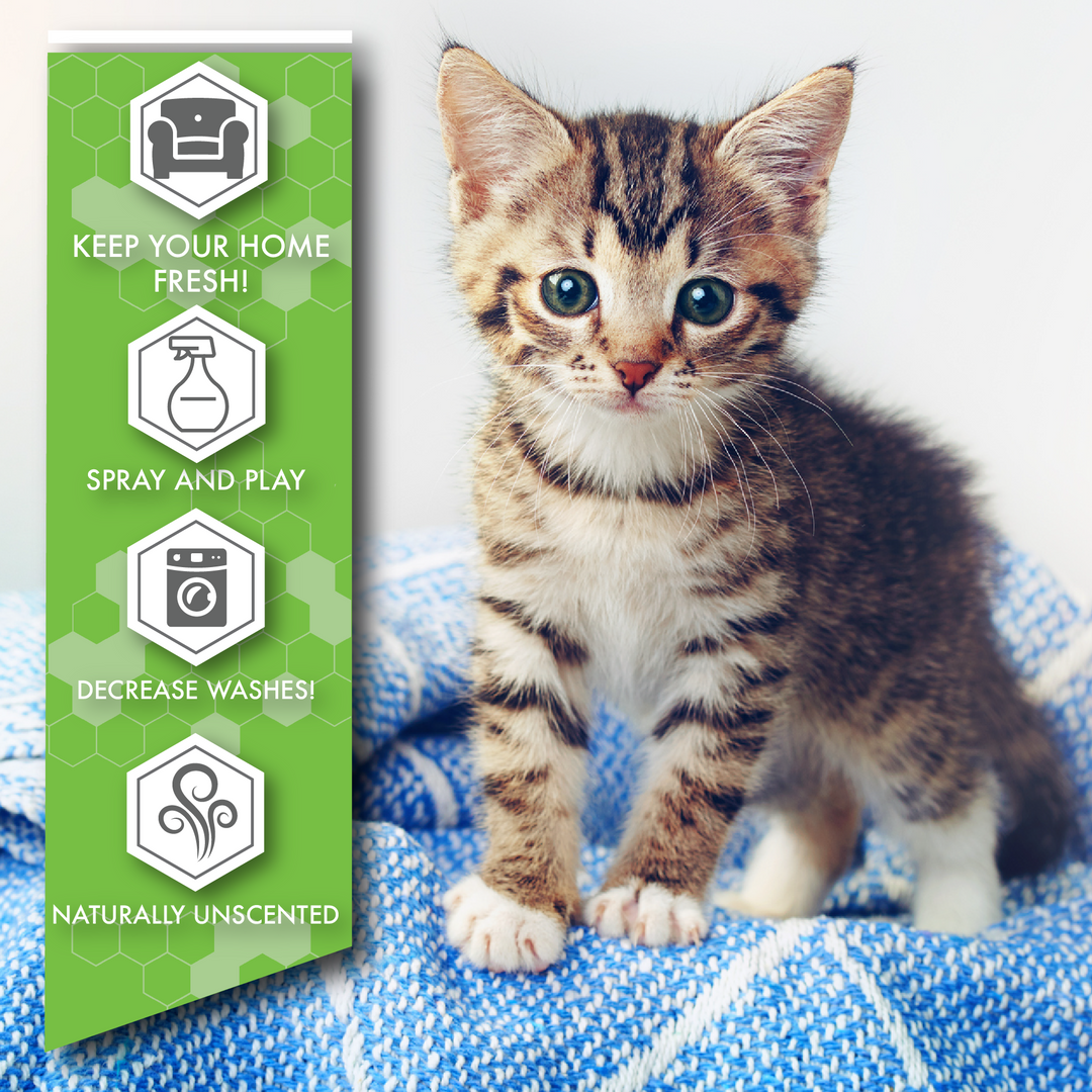 Cat odor spray deals